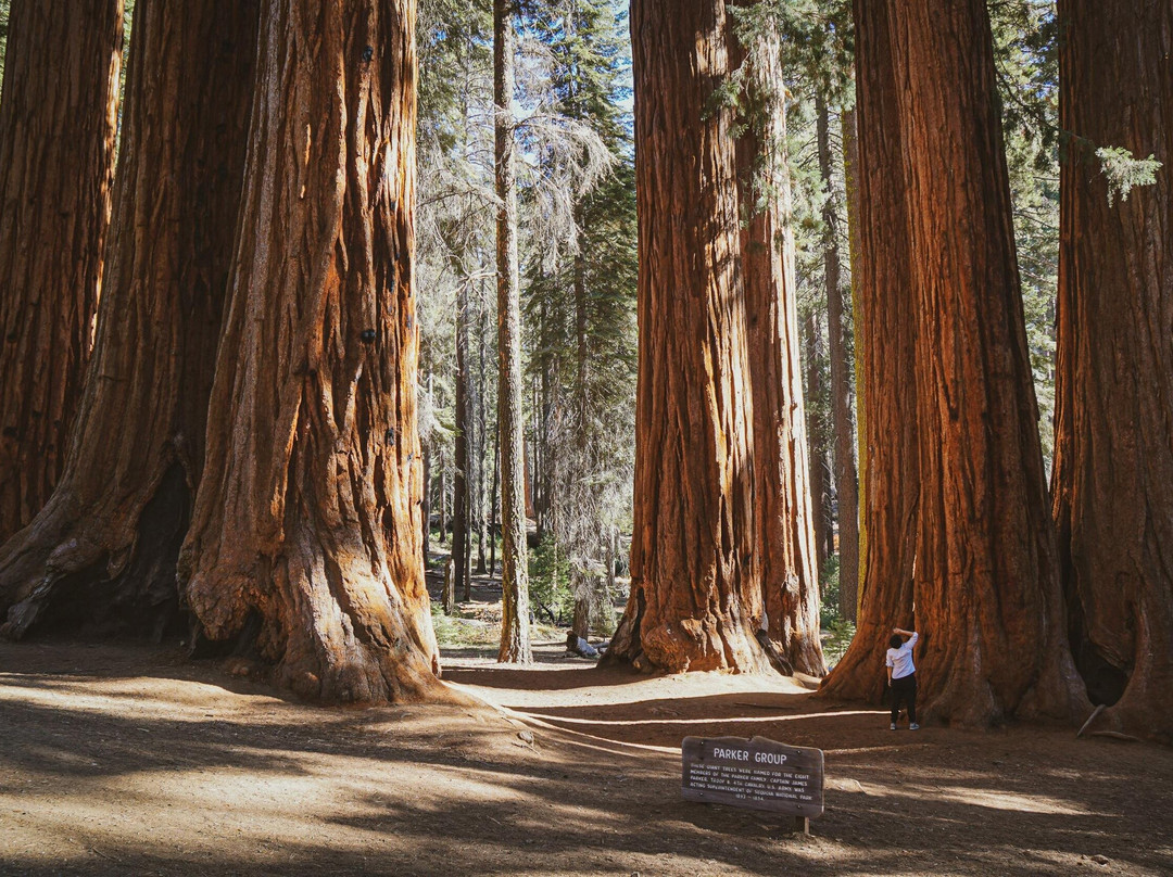 Yosemite Explorer 3 Day Adventure from Los Angeles