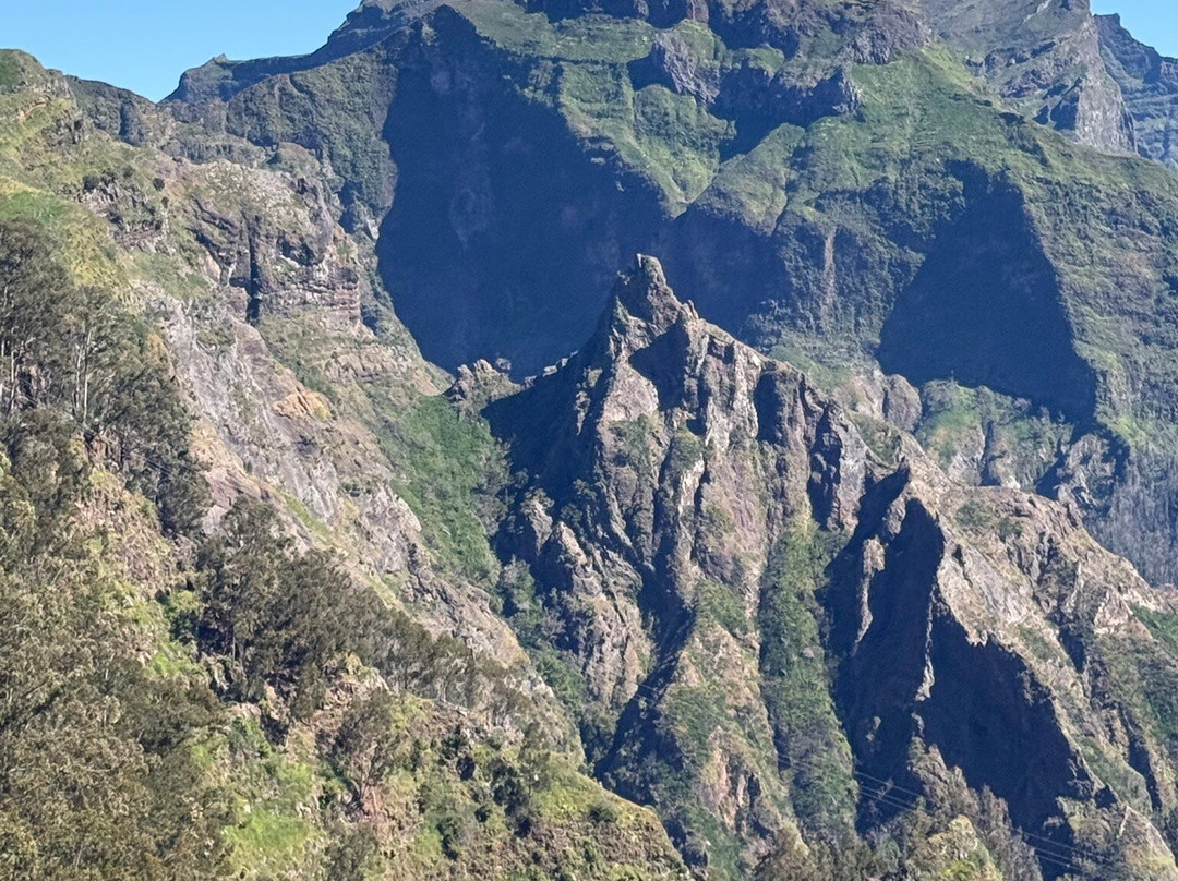 Safari Madeira Island-沙尔必去景点