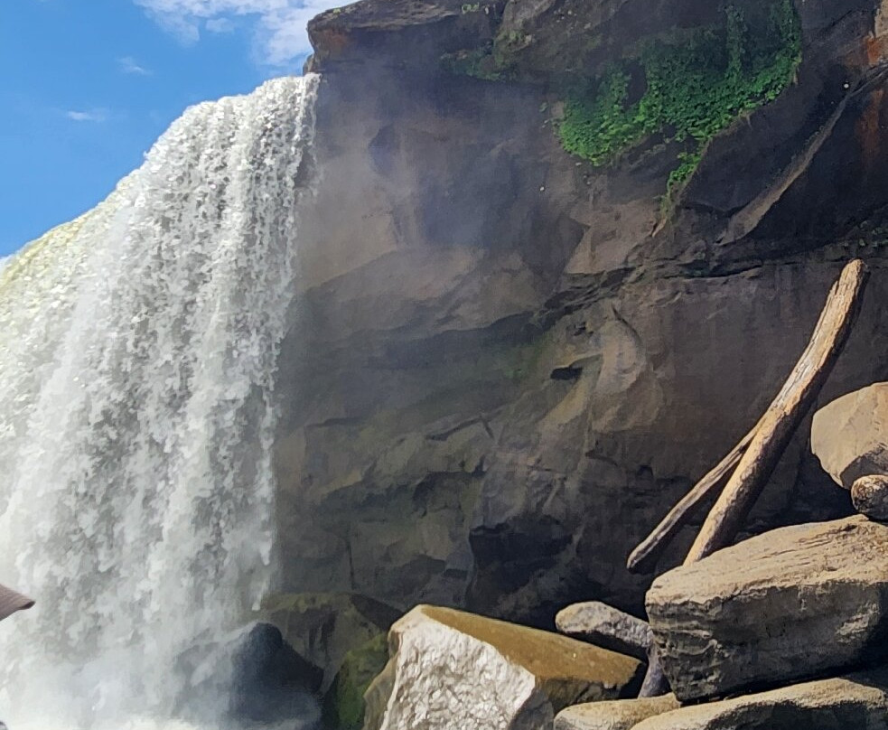 Big South Fork Adventures LLC-Stearns必去景点