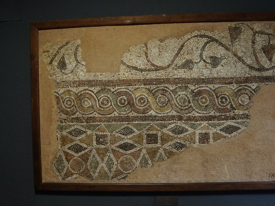 Archaeological Museum of Izmir-伊兹密尔必去景点
