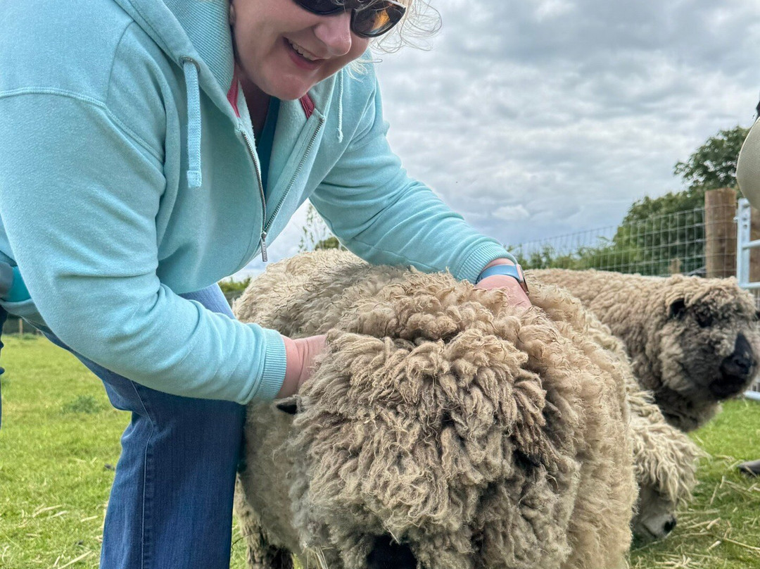 Stubbs Farm Alpacas-Loddon必去景点