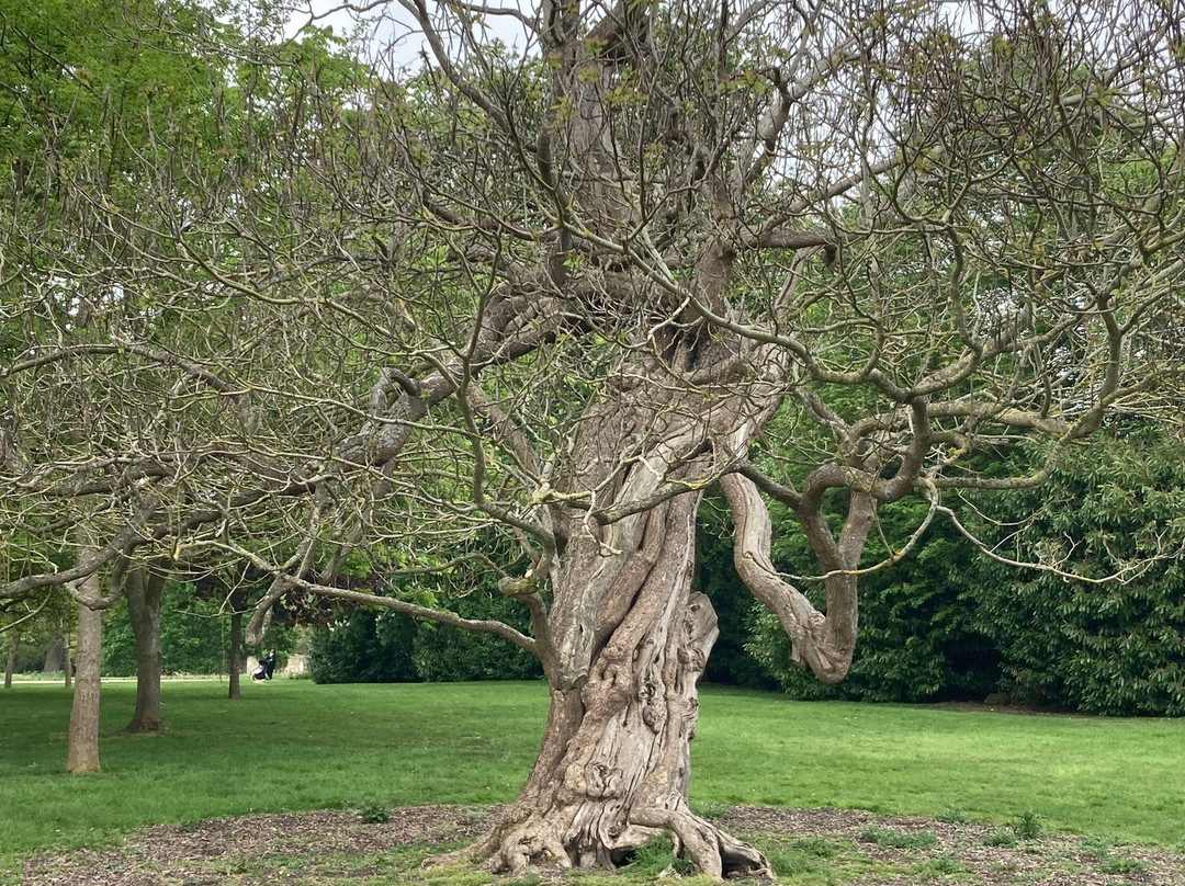 Wimpole Estate-Arrington必去景点