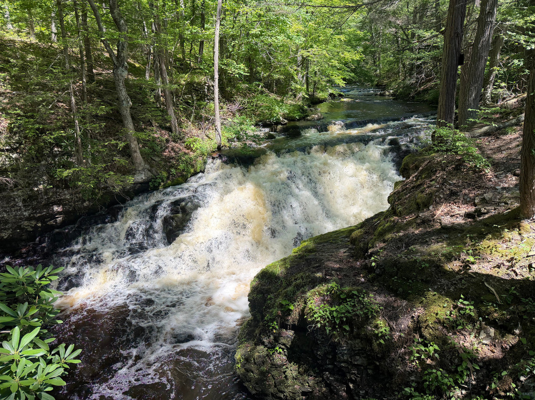 Bushkill Falls-Bushkill必去景点