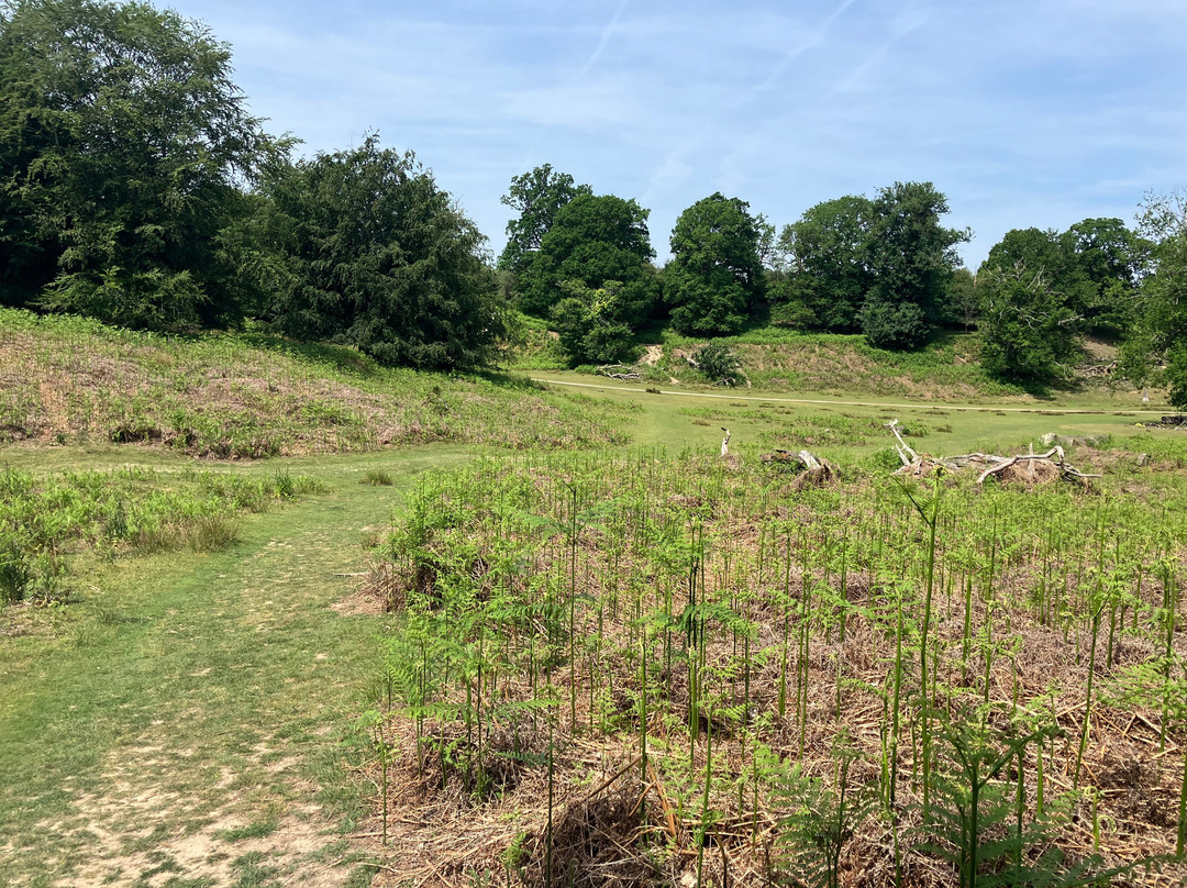 Knole House Estate Walking Trails-Sevenoaks必去景点
