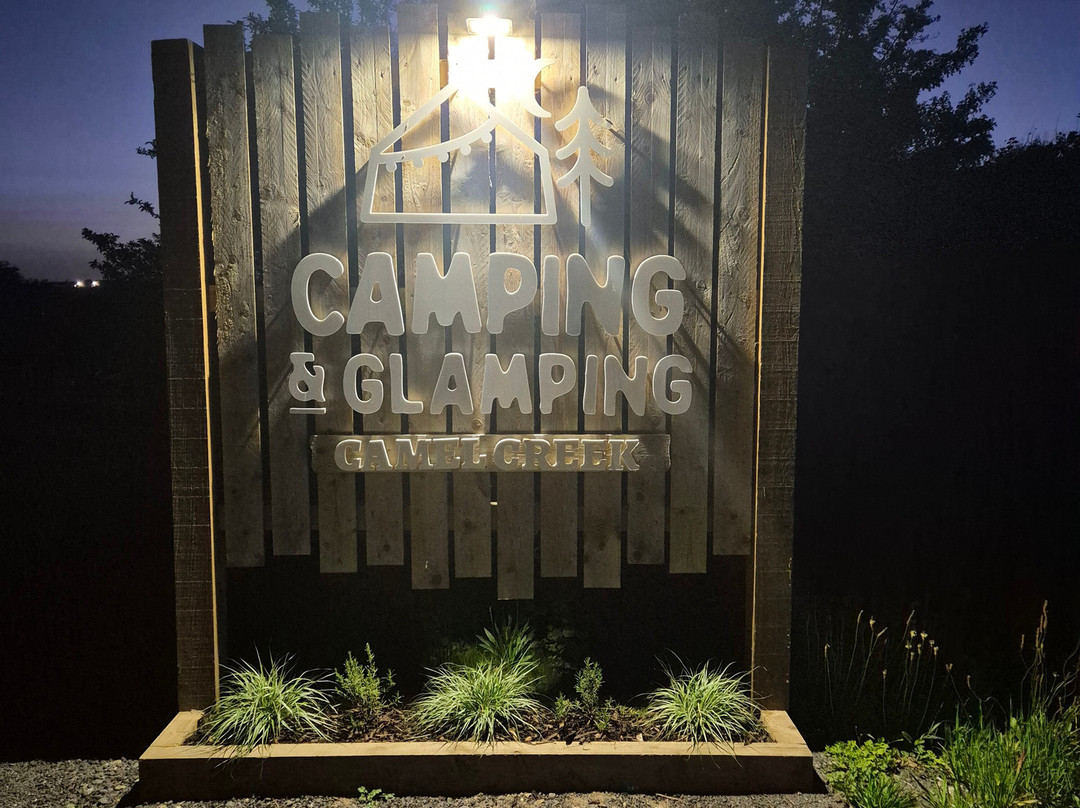 Camel Creek Family Adventure Park-Wadebridge必去景点