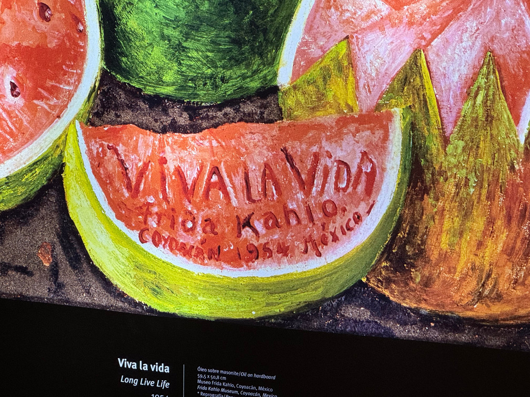 Museo Frida Kahlo-普拉亚德尔卡曼必去景点
