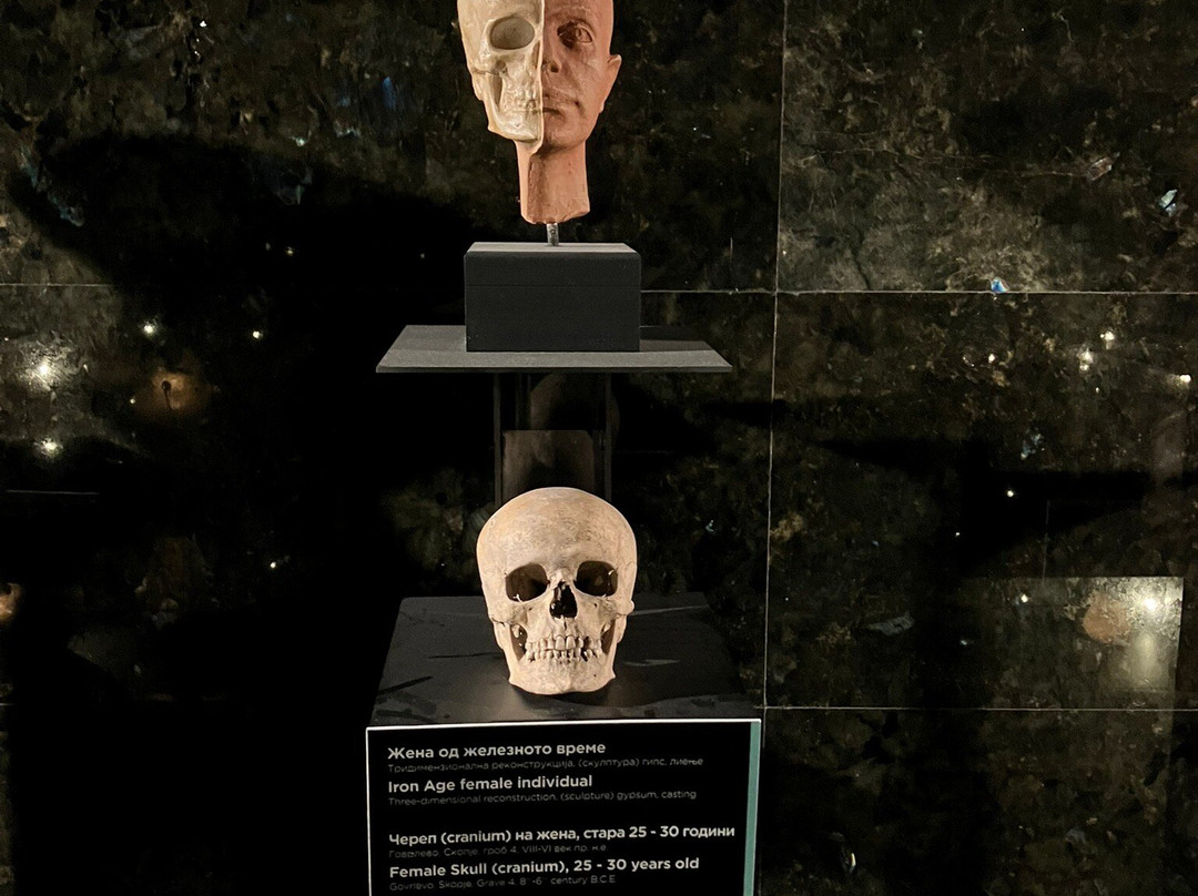 Archaeological Museum of Macedonia-斯科普里必去景点