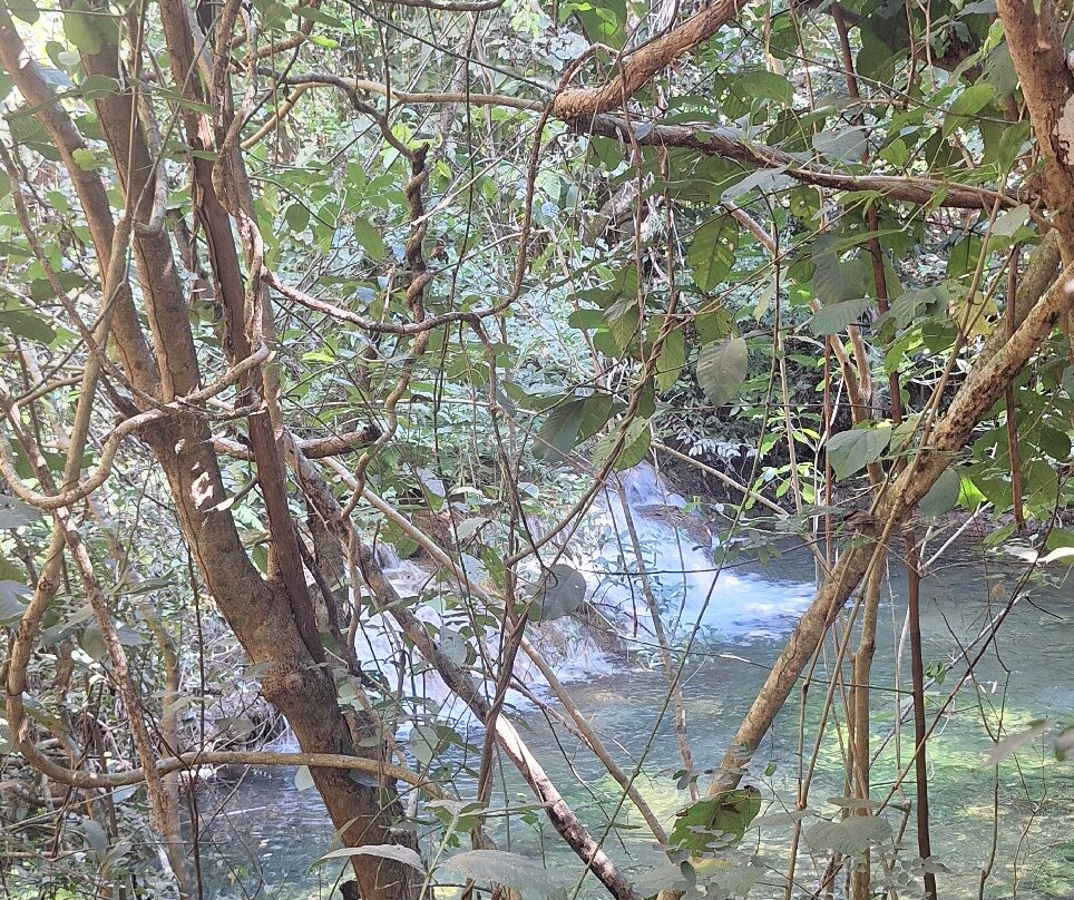 Parque Estadual da Lapa Grande-Montes Claros必去景点