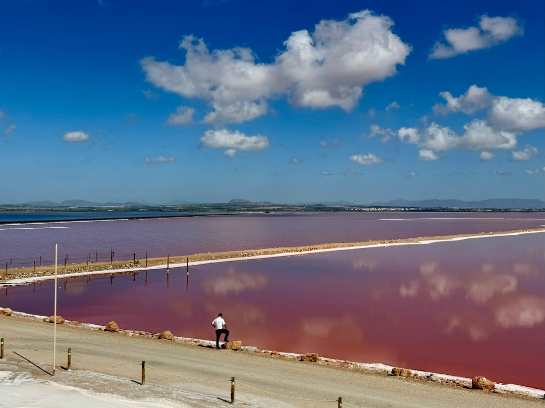 Laguna Salada de Torrevieja-托雷维耶哈必去景点