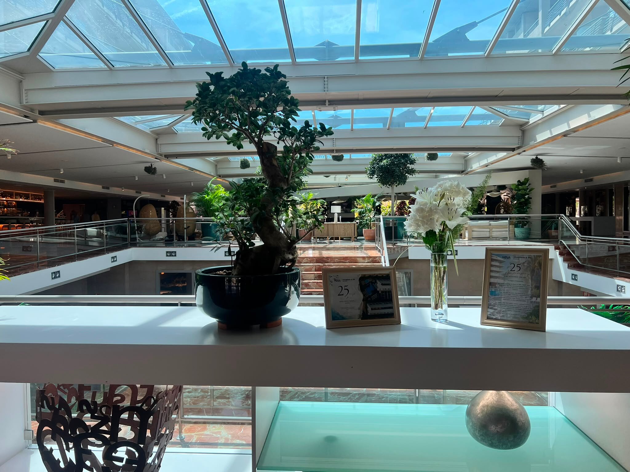 奥纳布拉瓦水疗酒店-旅行者