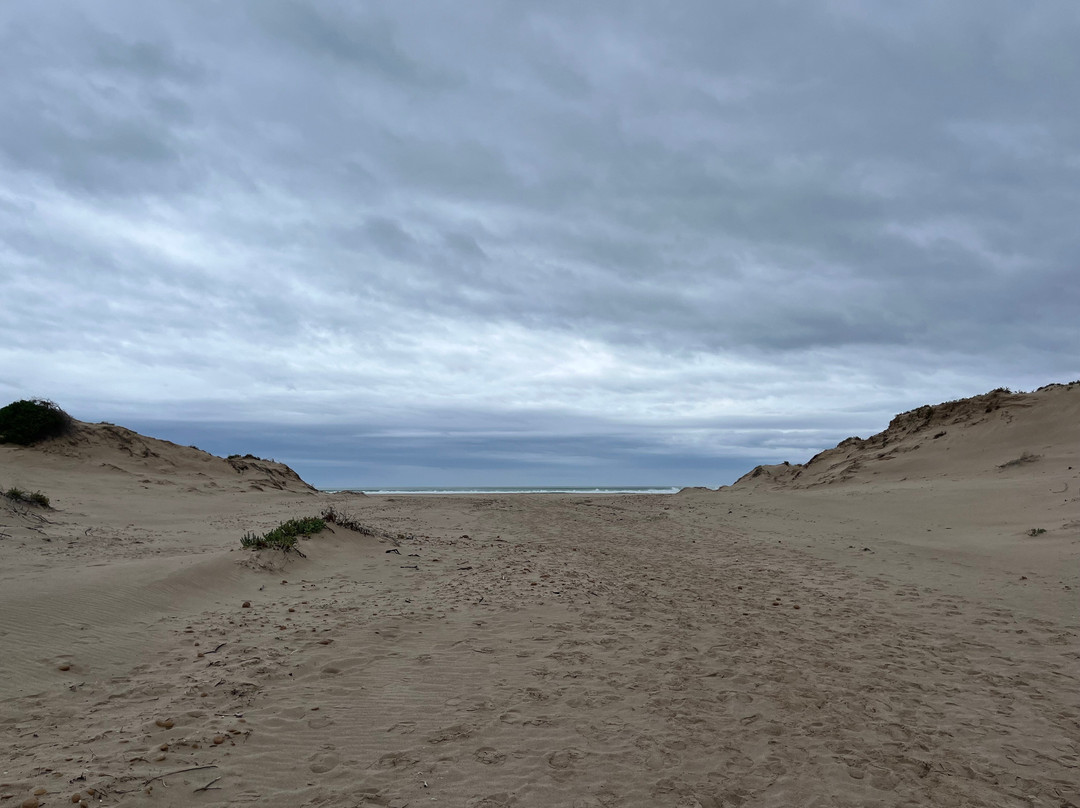 Spirit of the Coorong Cruises-Goolwa必去景点