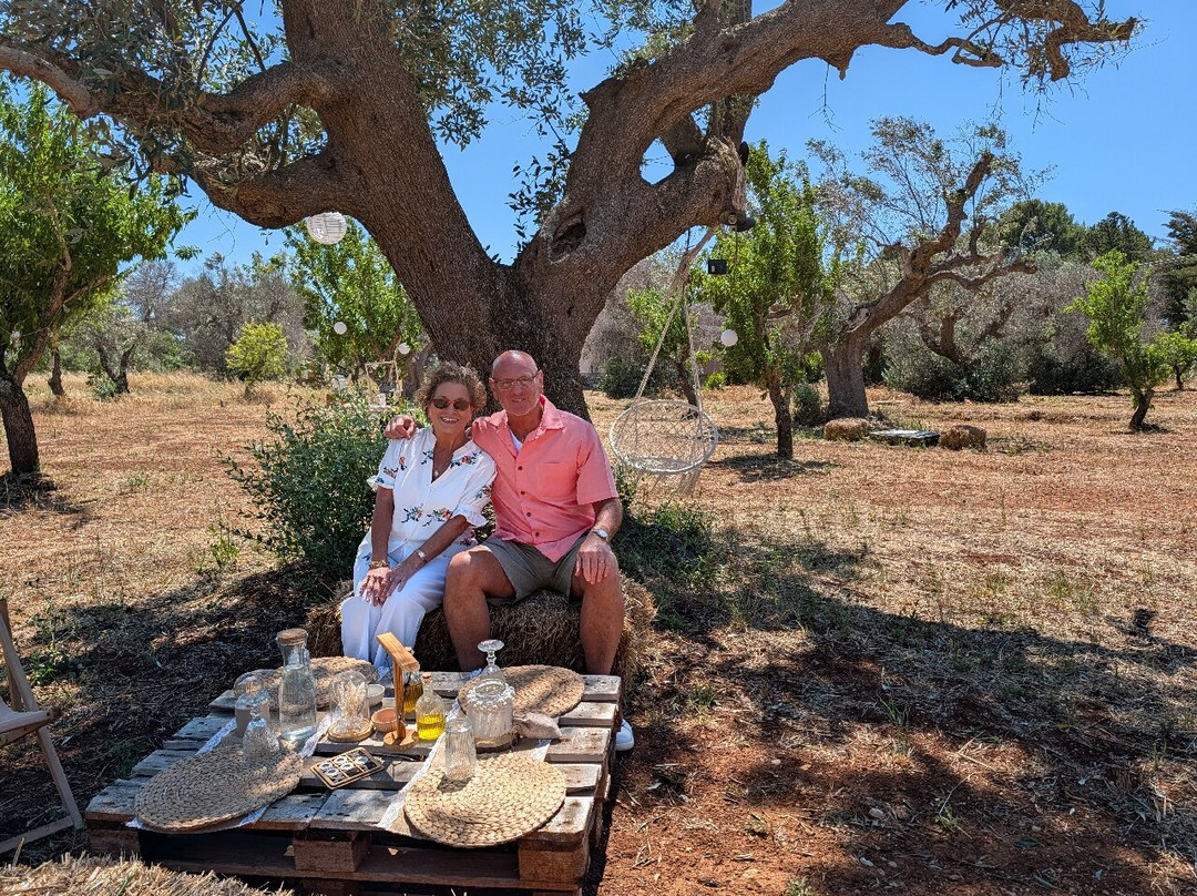 Olive Grove Experience-San Vito dei Normanni必去景点