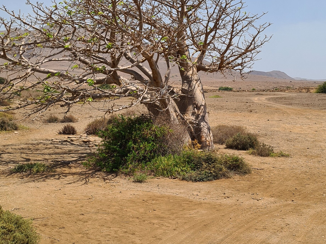 Baobab Tour Private Tours-萨尔雷必去景点