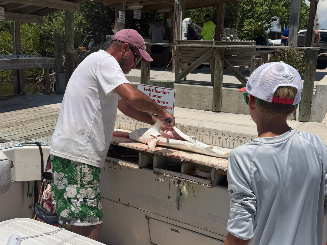 Paradise Fishing Charters-Cape Haze必去景点