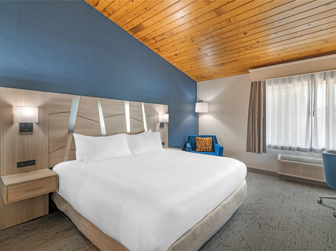 埃克塞特酒店住宿-Best Western Plus The Inn At Hampton