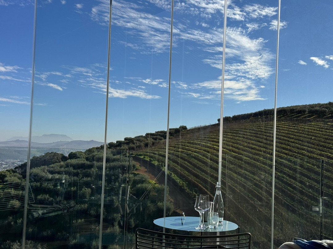 Tokara Wine Estate-斯泰伦博斯必去景点