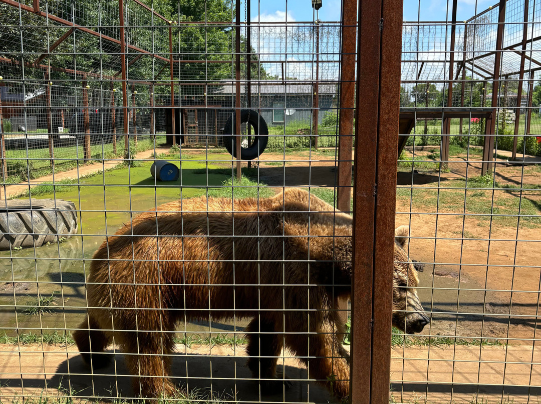 Safari Zoological Park-Caney必去景点