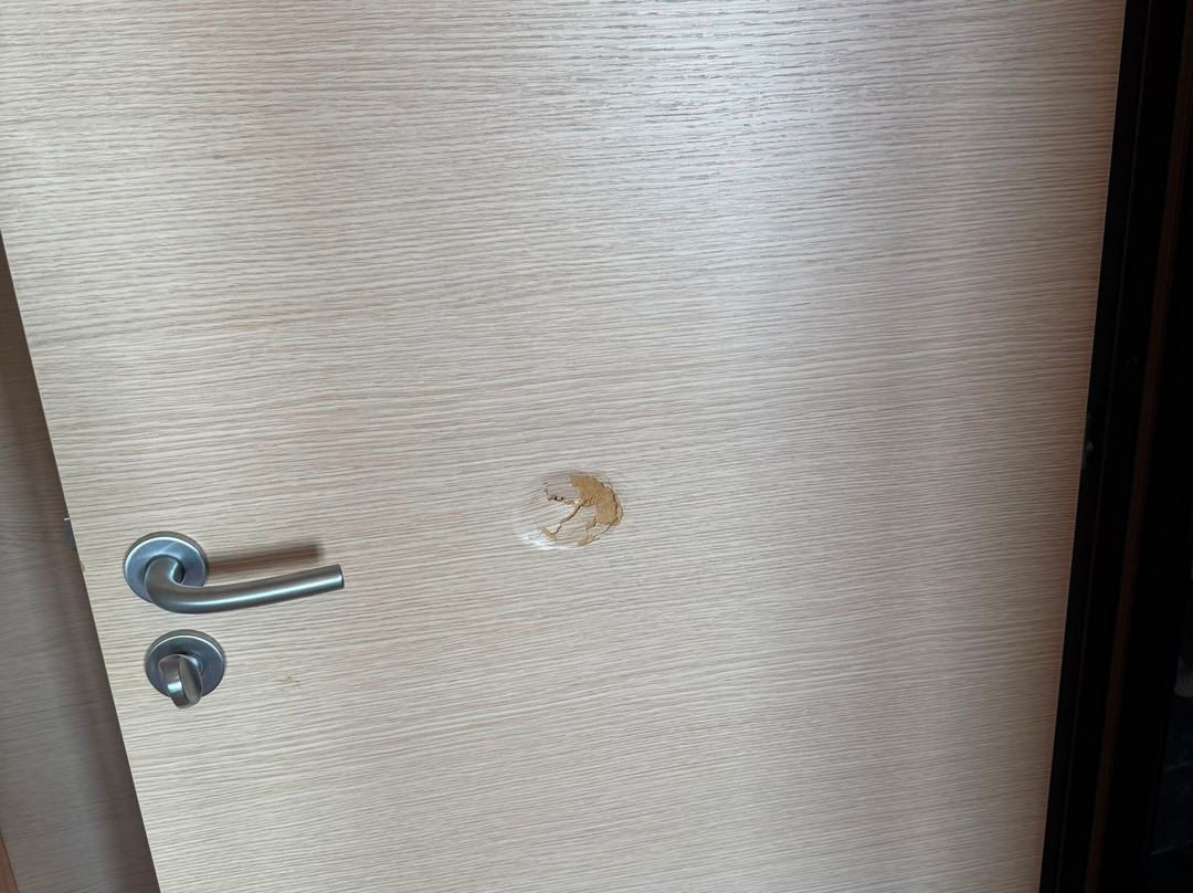 Hotel Sol Palace主图