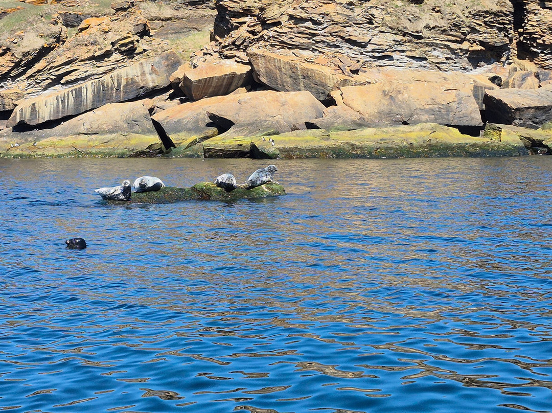 Bird Island Boat Tour-Big Bras d'Or必去景点
