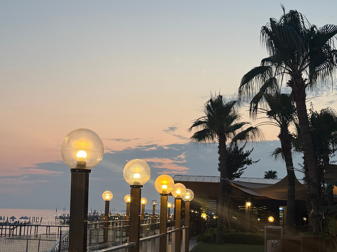 阿兰亚酒店住宿-Aria Resort & Spa Hotel