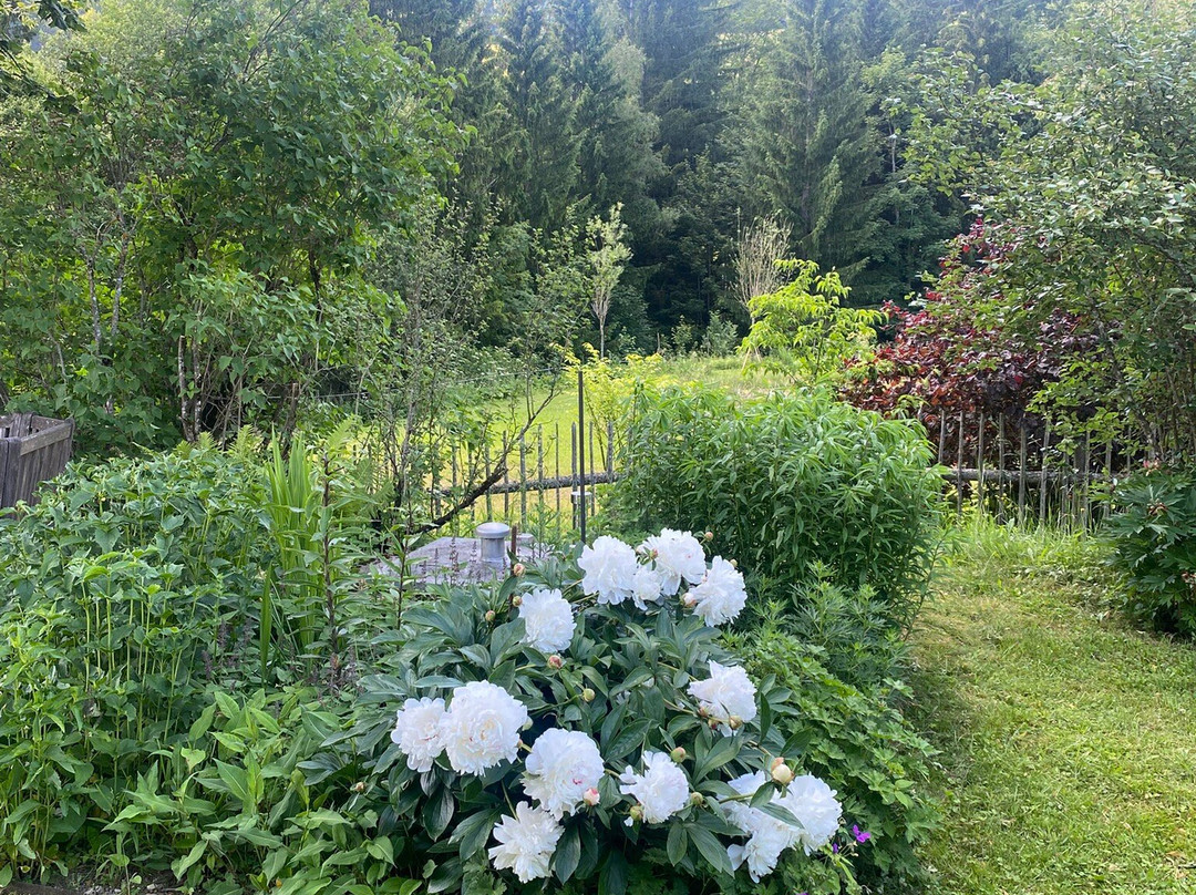 Charming Farm Retreat with Yoga & Ayurveda "Me Yoga Healing"-Lunz am See必去景点