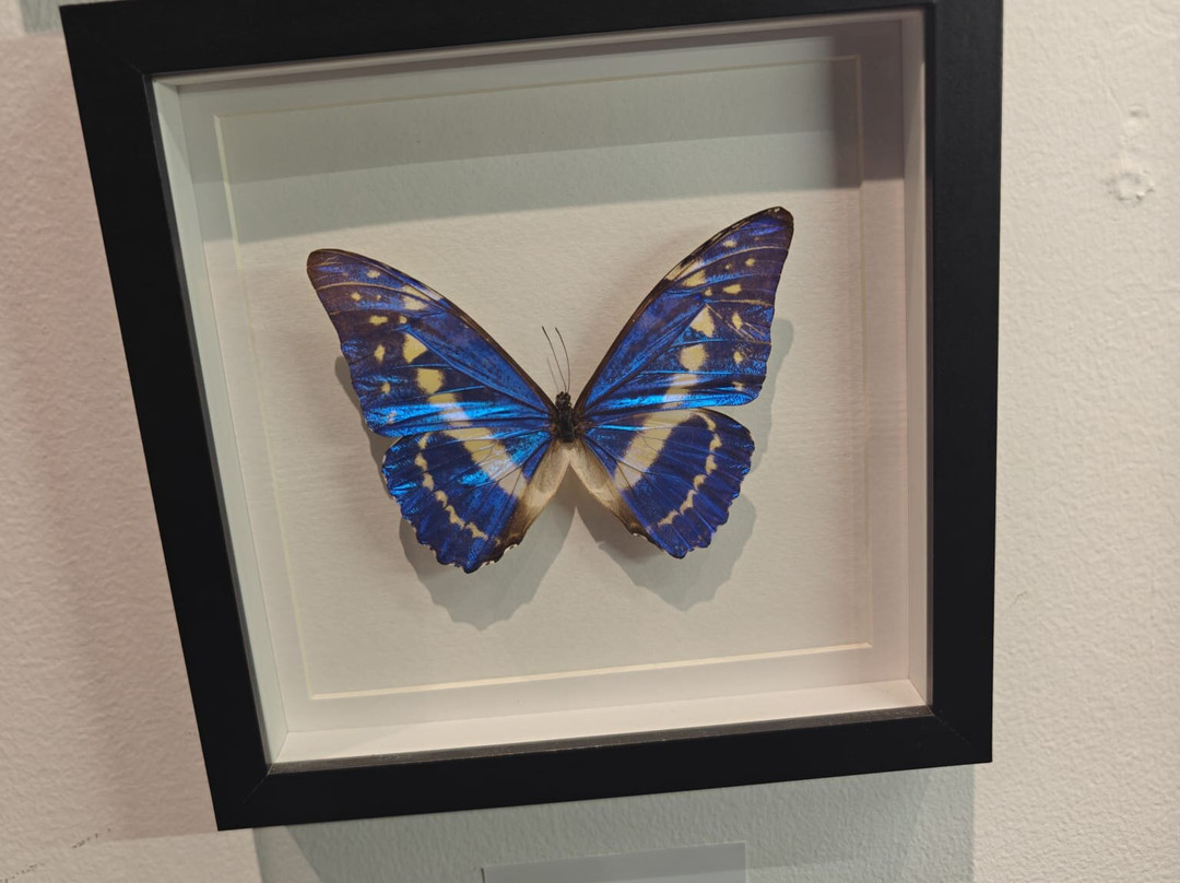 PHENOMENA - Interactive Museum of Science and Art-索非亚必去景点