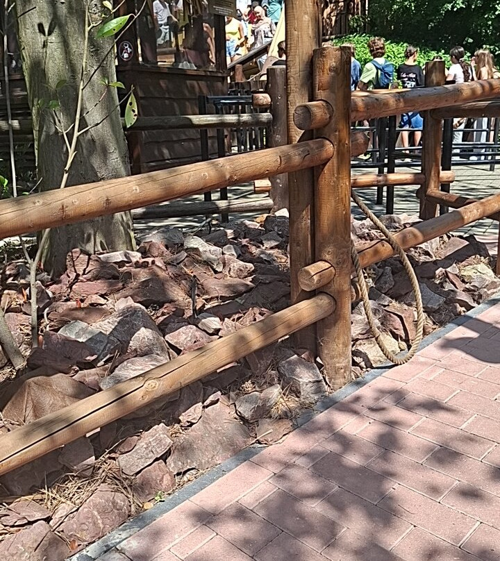 Walibi Belgium-瓦夫尔必去景点