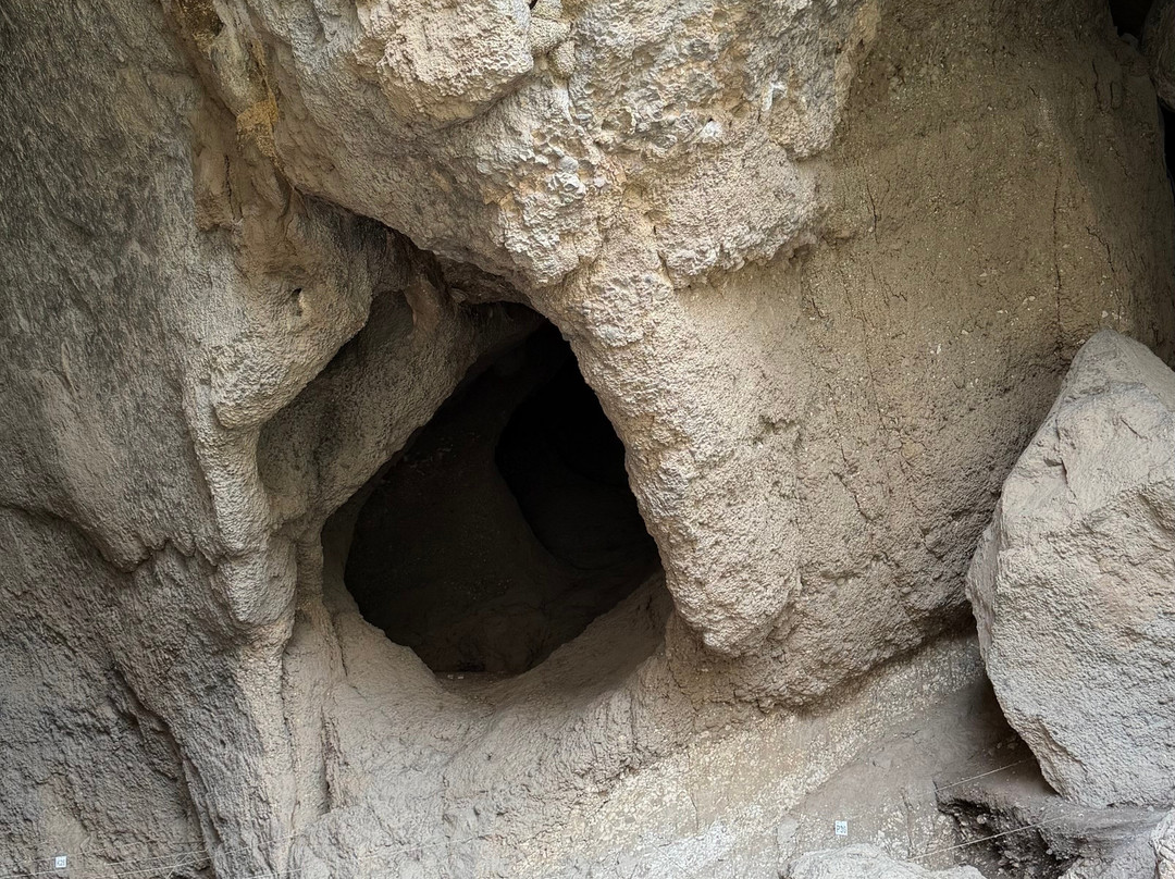 T'rchuneri (Bird) Cave-Areni必去景点