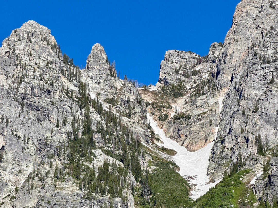 Jenny Lake Boating-穆斯必去景点