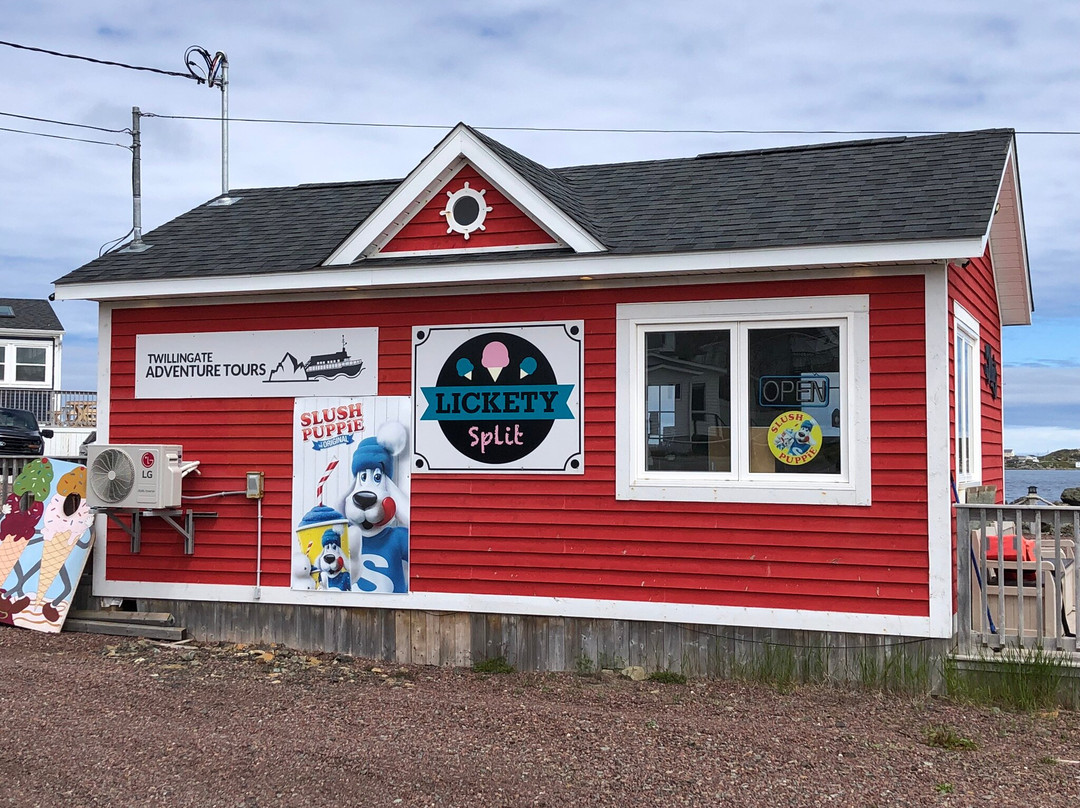 Twillingate Adventure Tours-Twillingate必去景点