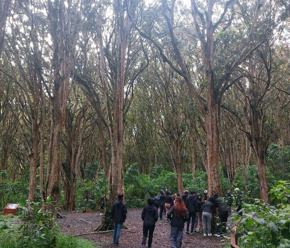 Bosque de los Arrayanes-Tulcan必去景点