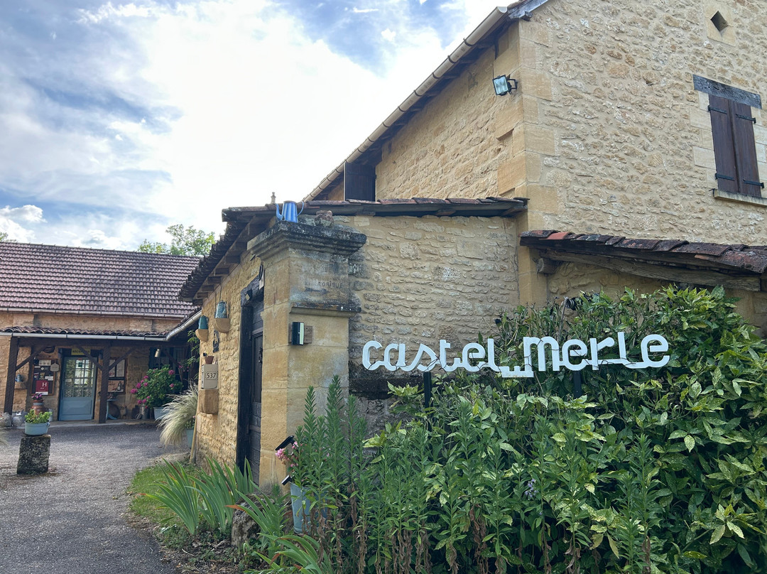 Auberge de Castel-Merle主图