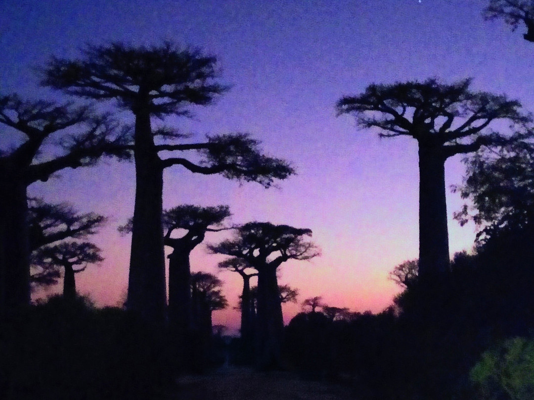 Wild-madagascar-tours-安塔那那利佛必去景点