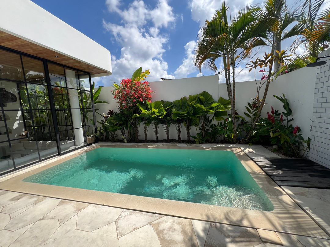 The Young Villas - Canggu