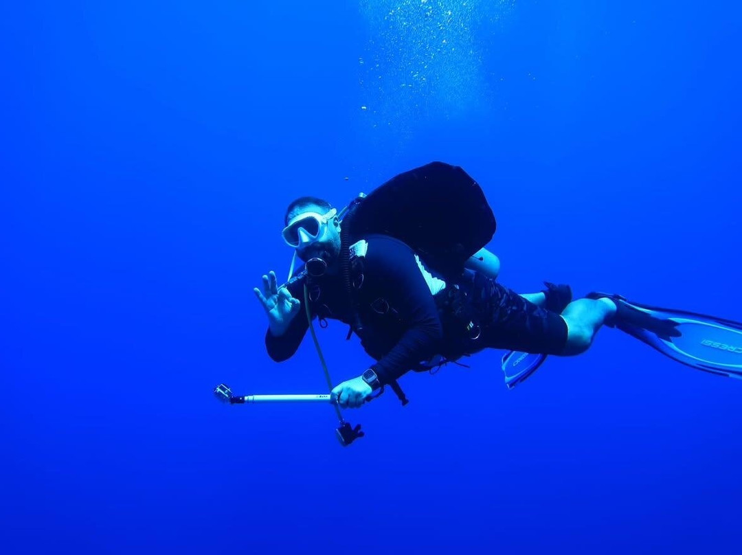 VIP Diving College-沙姆沙伊赫必去景点