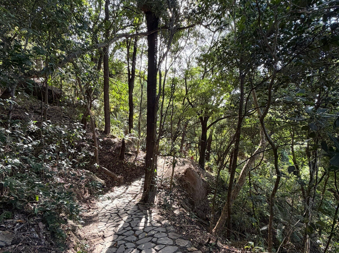 Wangetti Trail-棕榈湾必去景点