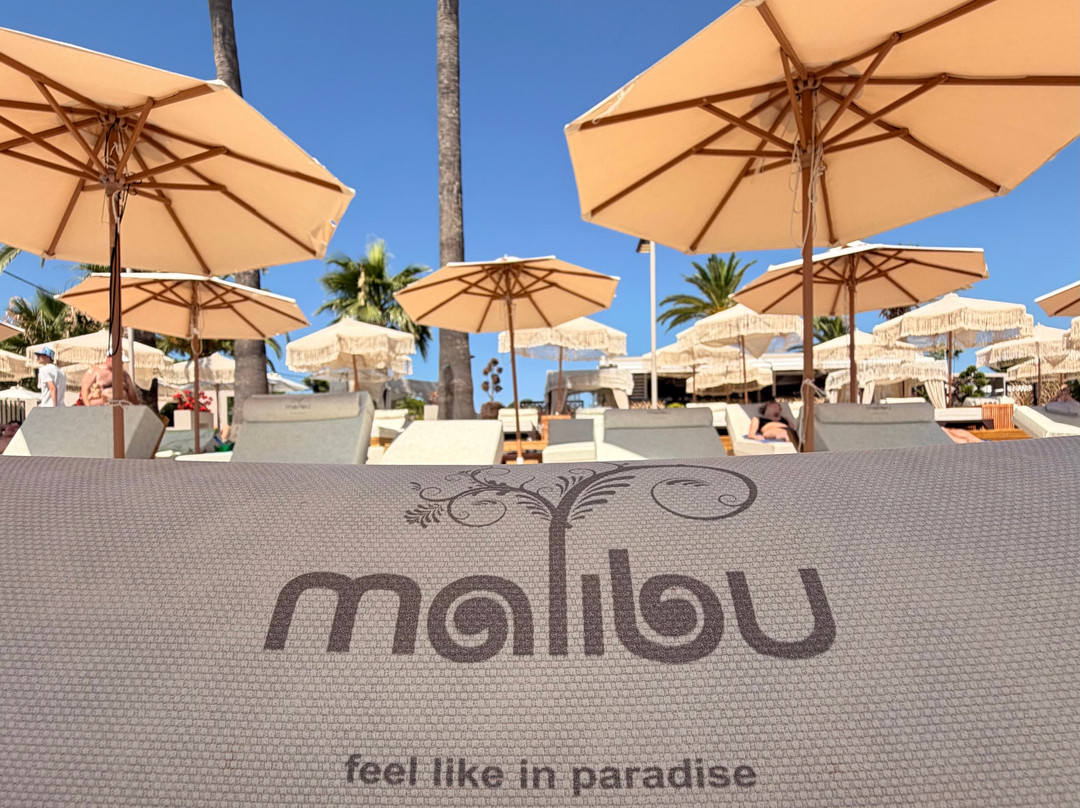 Malibu Summer-Dassia必去景点