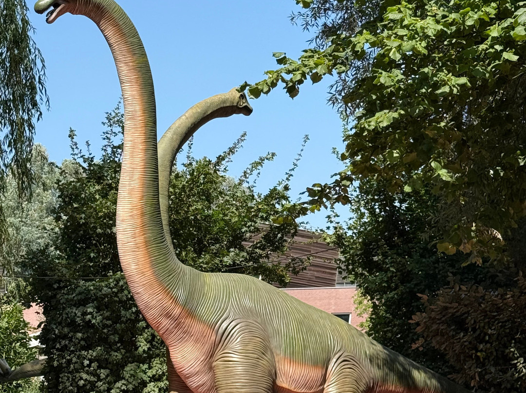 Dinoland Zwolle-兹沃勒必去景点