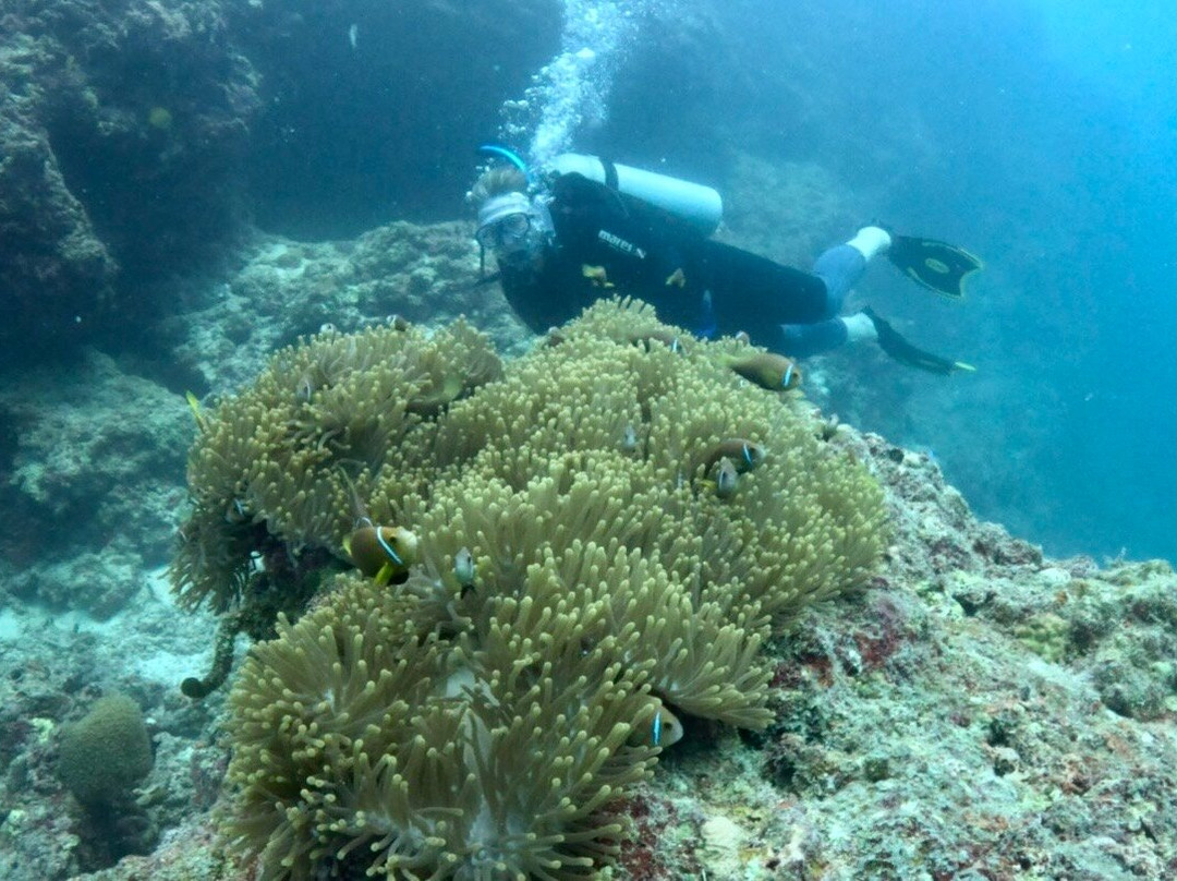 Amphibuzz Dive-Thulusdhoo Island必去景点