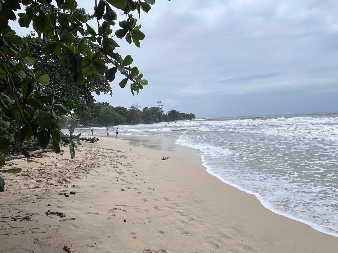Cahuita National Park-卡维塔必去景点