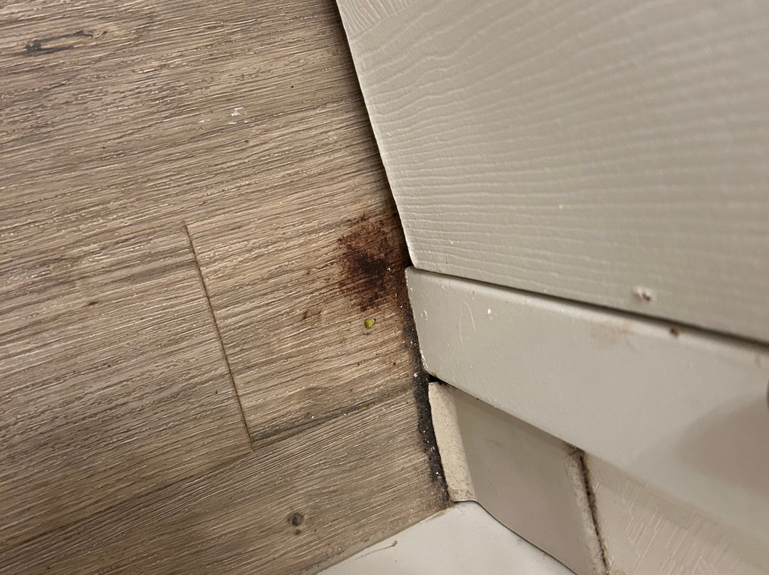 杉树角热浪酒店主图