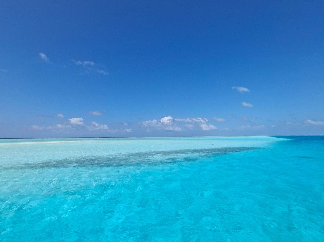 Into the Blue Lodge主图
