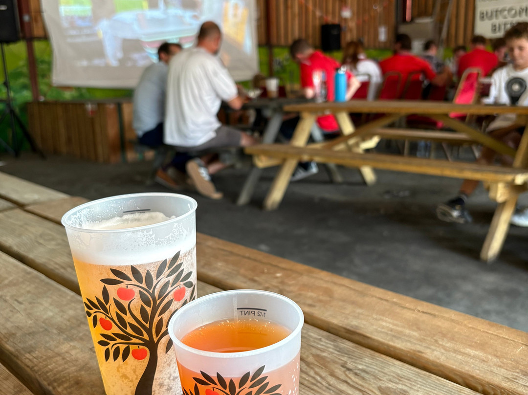 Tucker's Grave Inn & Campsite-Radstock必去景点