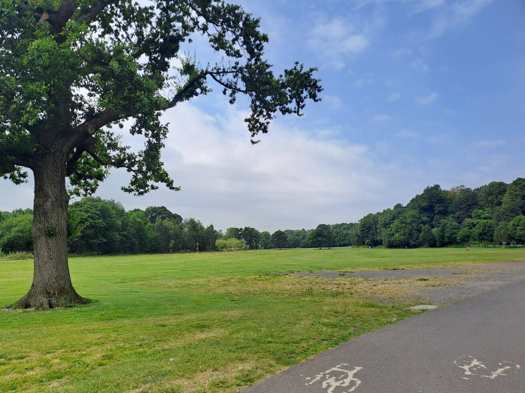 Witton Country Park-布莱克本必去景点