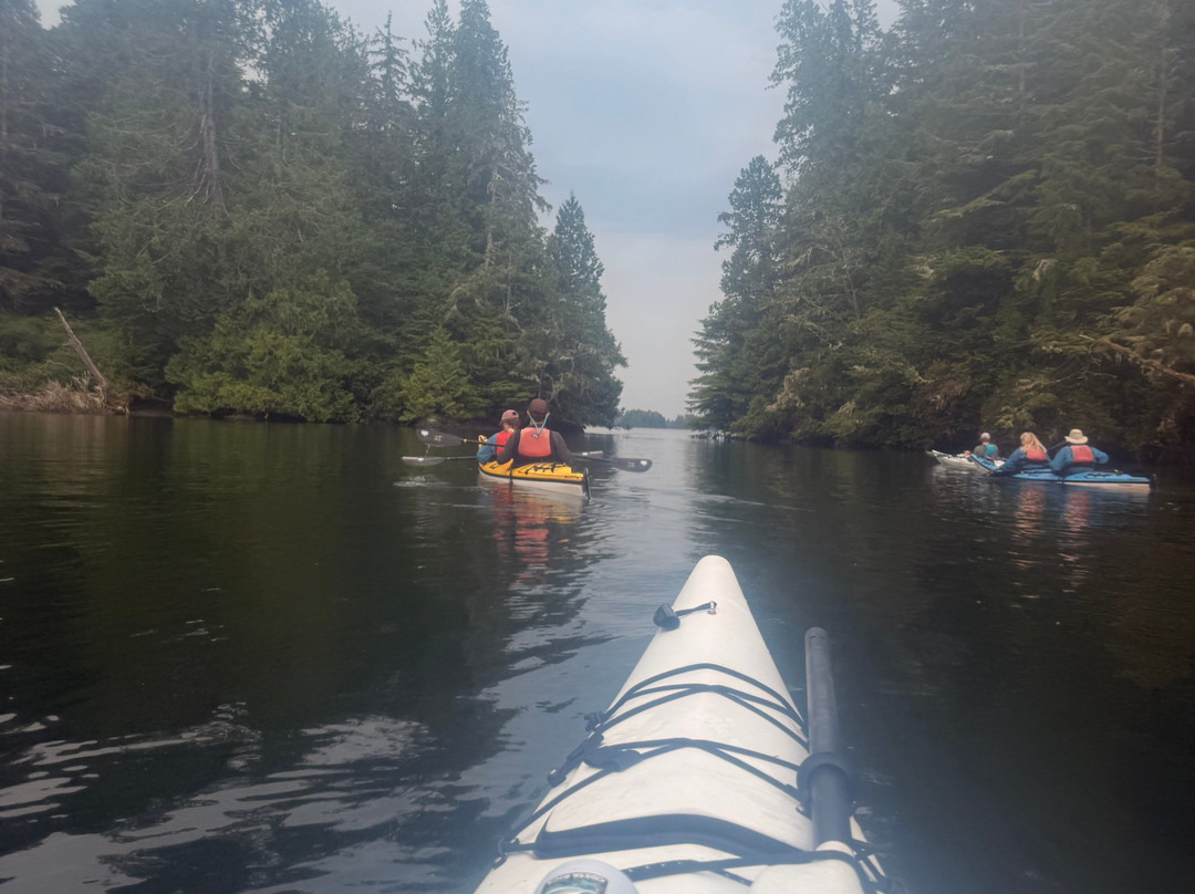 Tofino Sea Kayaking Day Tours-托菲诺必去景点