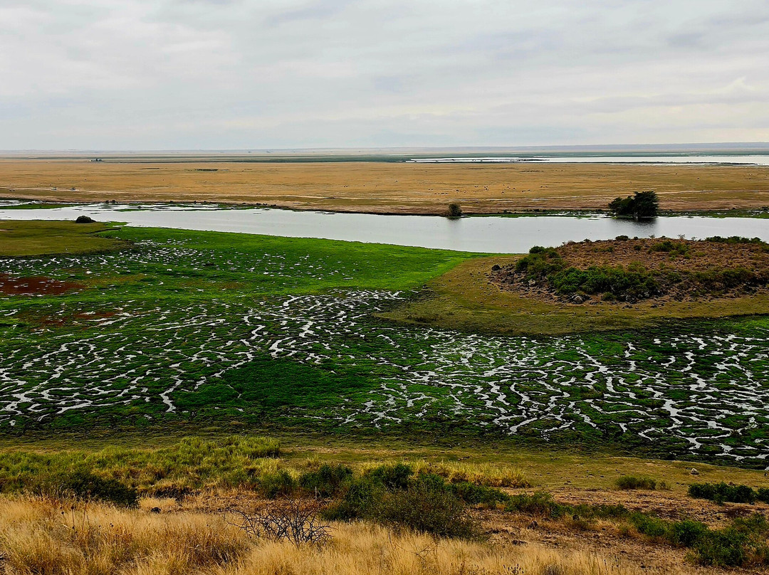 Amboseli National Park-Amboseli Eco-system必去景点