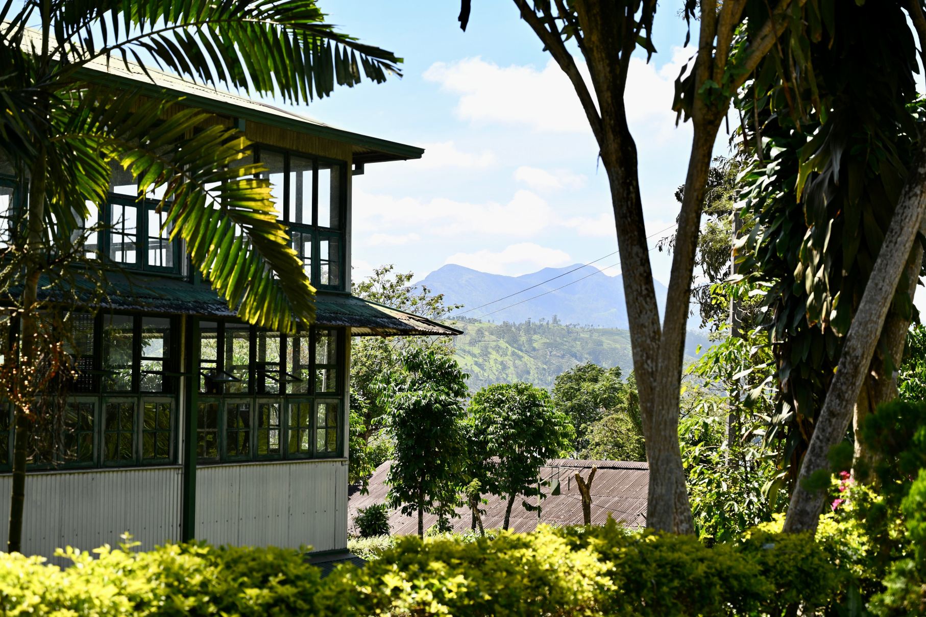 锡兰茶径 - 瑞莱斯和城堡 - 全包式-旅行者