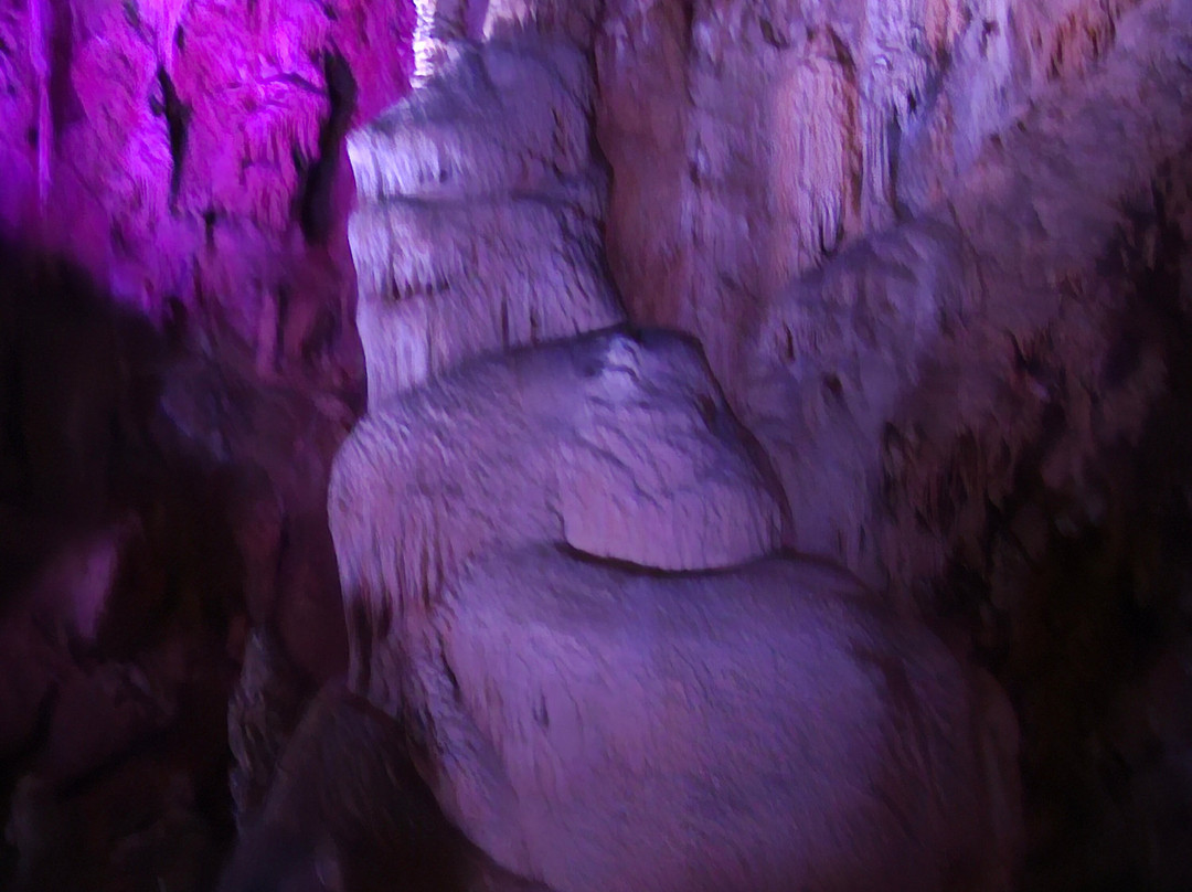 Grotte de la Salamandre-Mejannes-le-Clap必去景点