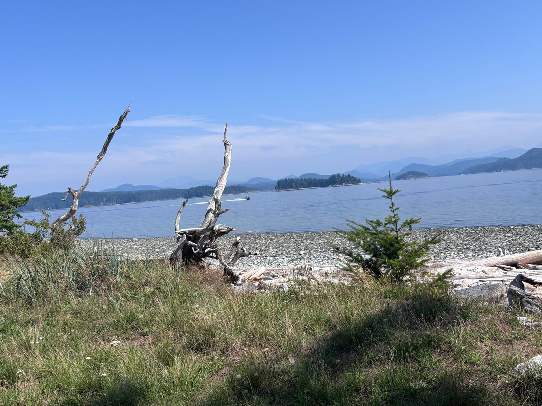 Rebecca Spit Marine Provincial Park-Heriot Bay必去景点