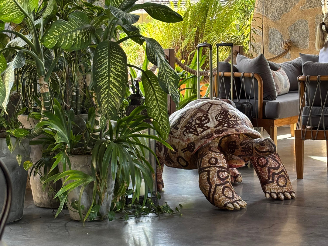 Les Lauriers Eco Hotel & Restaurant主图